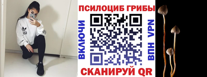 цены наркотик  даркнет состав  Псилоцибиновые грибы MAGIC MUSHROOMS  Кириллов 